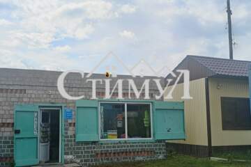 Отдельно стоящее здание, 40 м²